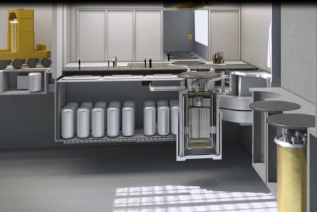 IMSR core cutaway - 460 (Terrestrial)